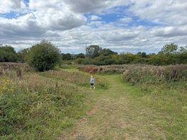 Lovely walks