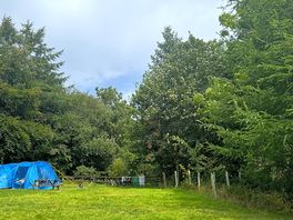 Camping area