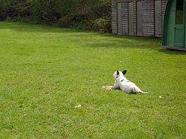 Purdie chilling