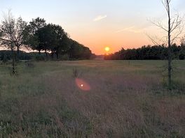 Sunset by the campsite