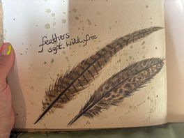 Feathers i painted