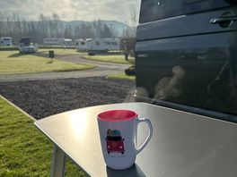 A sunny morning