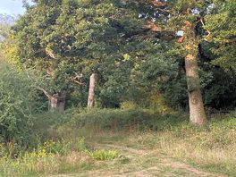 Lovely wild walks and scenery