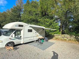 Our pitch