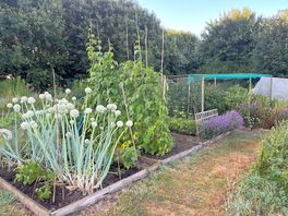 Nearby allotments