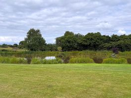 The view from our pitch