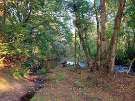 Beautiful surroundings of natural beauty