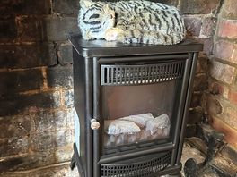 In the durham ox pub