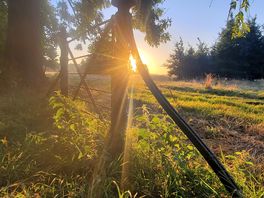 5:30am sunrise
