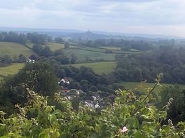 View from the shepherd's hut.