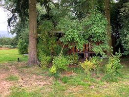 Cabin