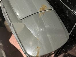 This was the womans sanitary bin all week