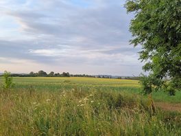 Scenery