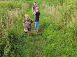Lovely broads walk on your doorstep