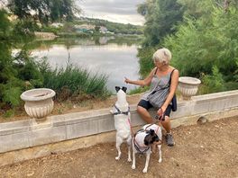 Lago dentro del camping