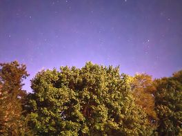 Just a taste of the night sky!