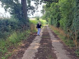 Lane to ufford