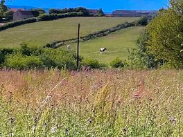 View towards whitby