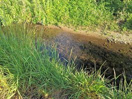 The little stream