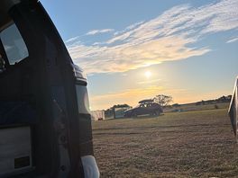 Sunny morning