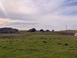 Camping field