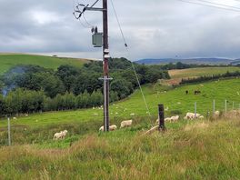 The kettle of the farm