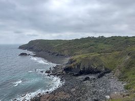 Walk to the lizard peninsula
