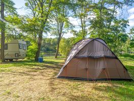 Pitch among the trees