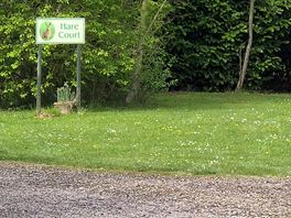 Wooded area