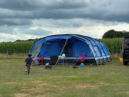 Home for the weekend