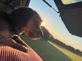 Watching the sun come up with my boy rex