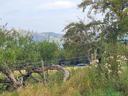 At the top of the campe site
