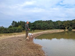 Pond