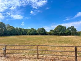 Field