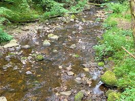 Waterfall walk