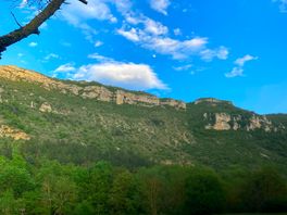 View from our plot