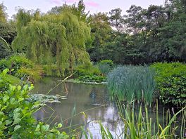 On site lake