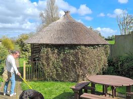 Beer garden