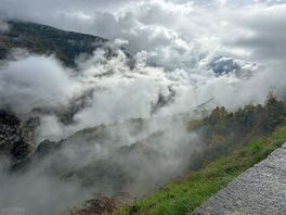 Local view