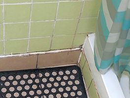 Black mould around shower