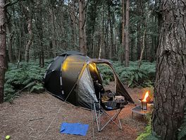 Forest relaxation