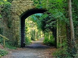 Photos from the nearby cinder track