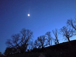 Night view