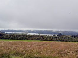 The view from the site