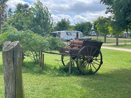 Campsite surrounding