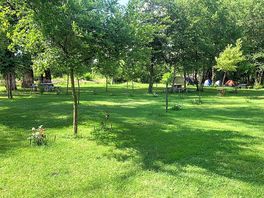 Pitches with partial shade