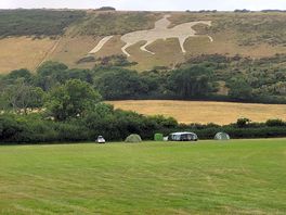 White horse