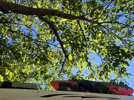 Blue sky's