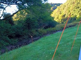 Early morning wildlife watching