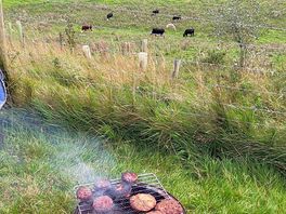 Burgers on fire pit over looking the field of cows.